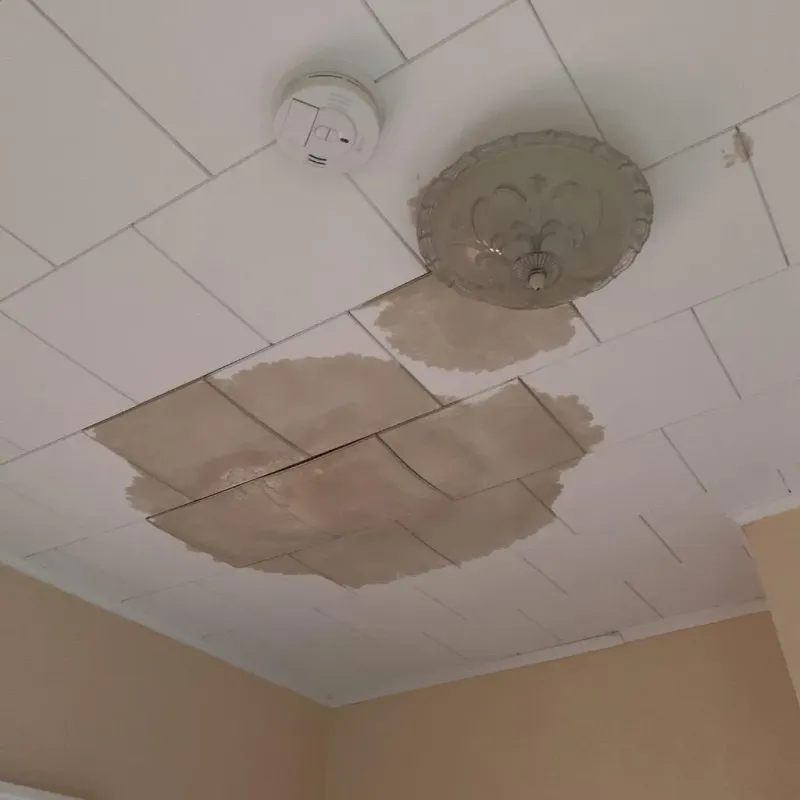 Ceiling Water Damage Repair in Dumfries, VA