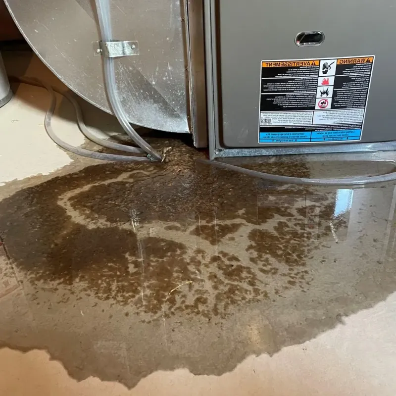 Pipe Burst and Leak Restoration in Dumfries, VA